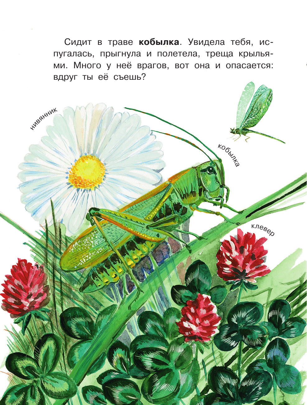 Танасийчук Виталий Николаевич Кто как видит? - страница 4