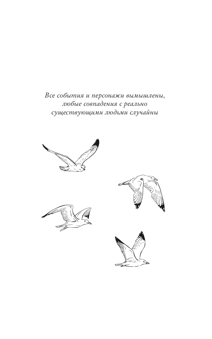 Янтарная Алина  Влюбиться в Калининграде - страница 3