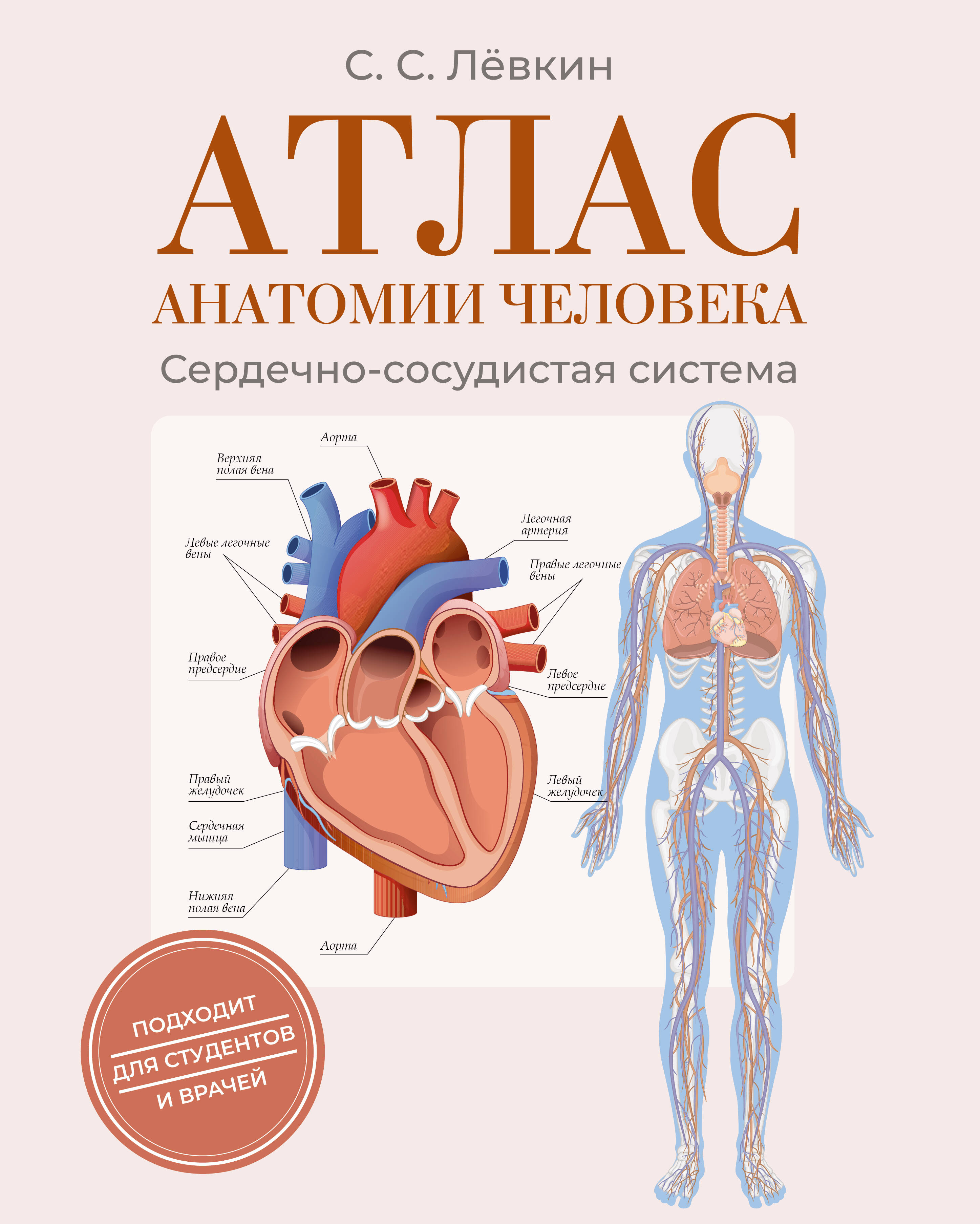 Лёвкин Сергей Сергеевич Атлас анатомии человека. Сердечно-сосудистая система - страница 0