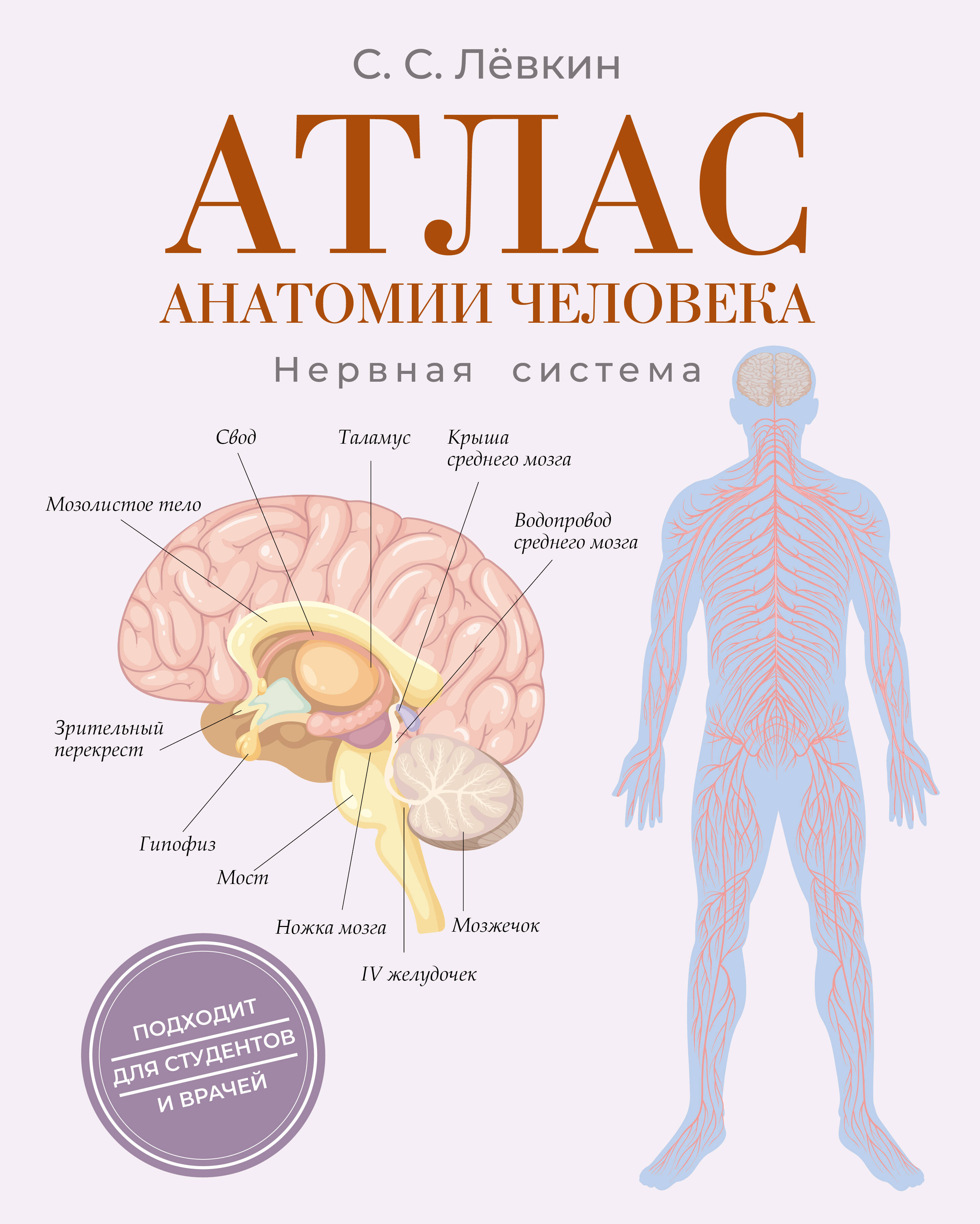 Лёвкин Сергей Сергеевич Атлас анатомии человека. Нервная система - страница 0