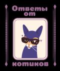 Ответы от котиков