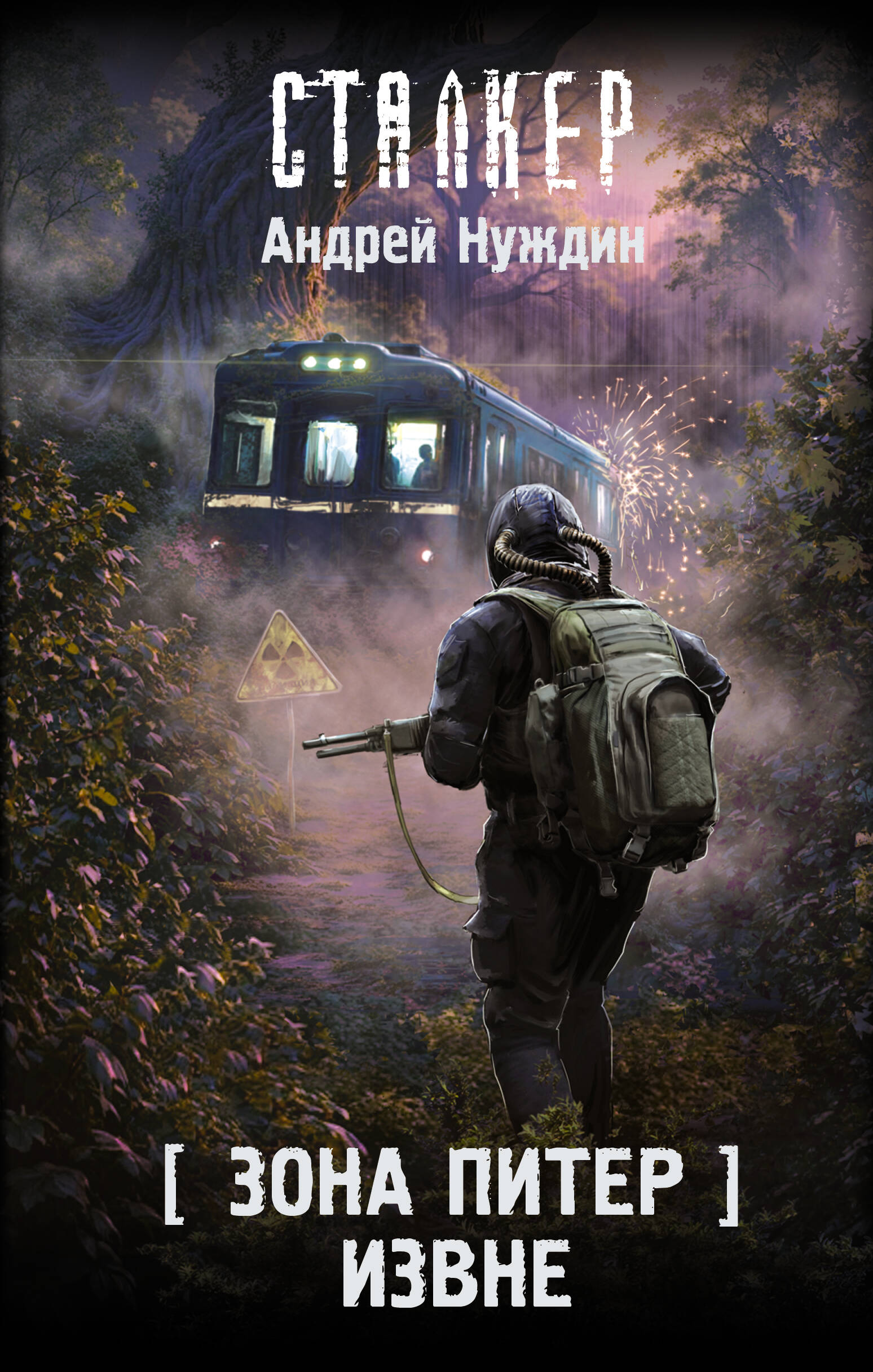 Нуждин Андрей Станиславович Зона Питер. Извне - страница 0