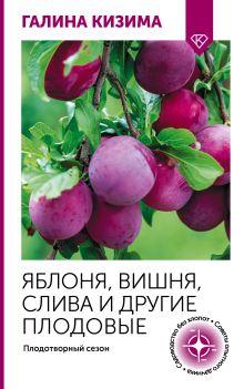 Яблоня, вишня, слива и другие плодовые. Плодотворный сезон