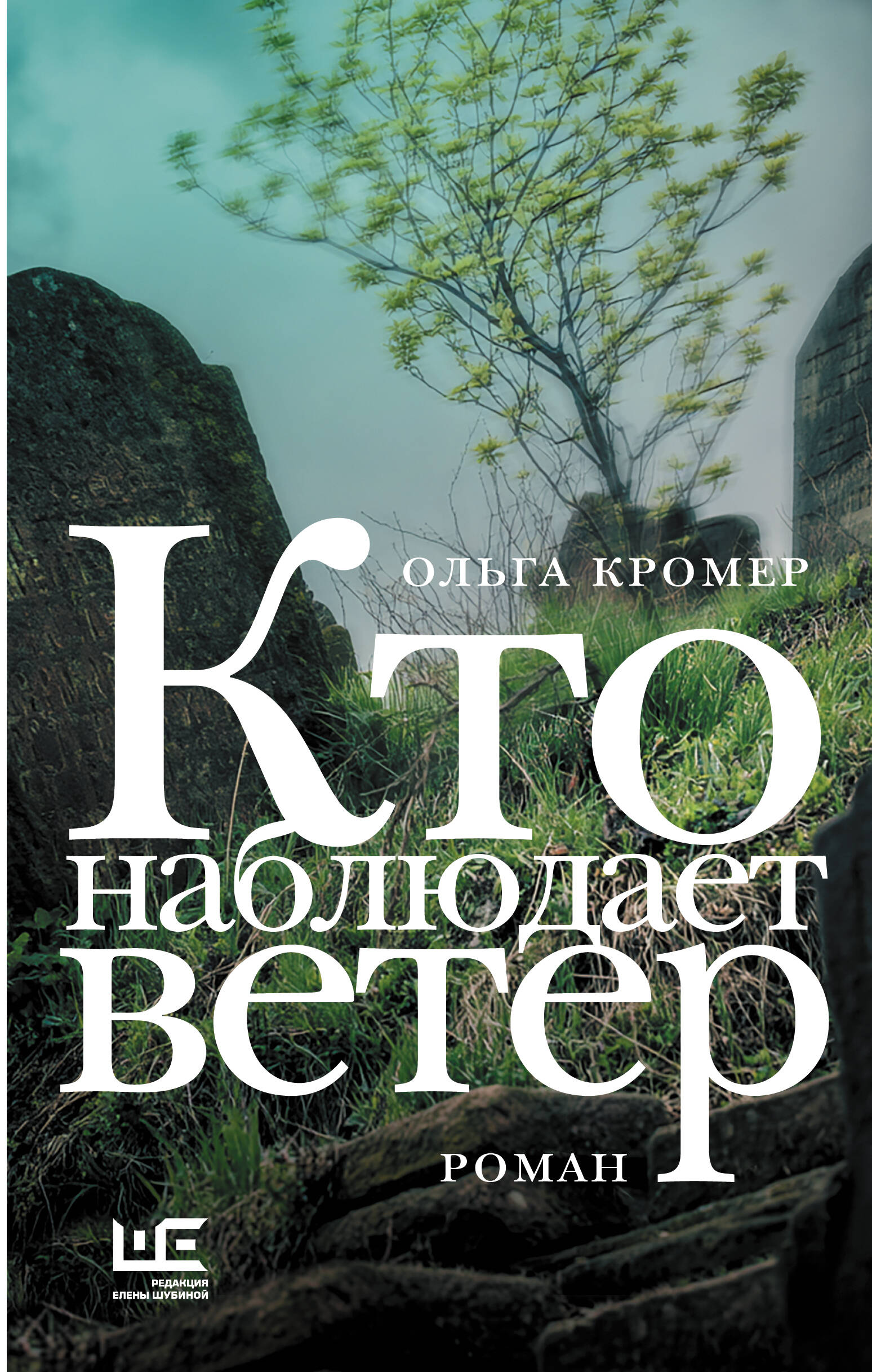 Кромер Ольга  Кто наблюдает ветер - страница 0