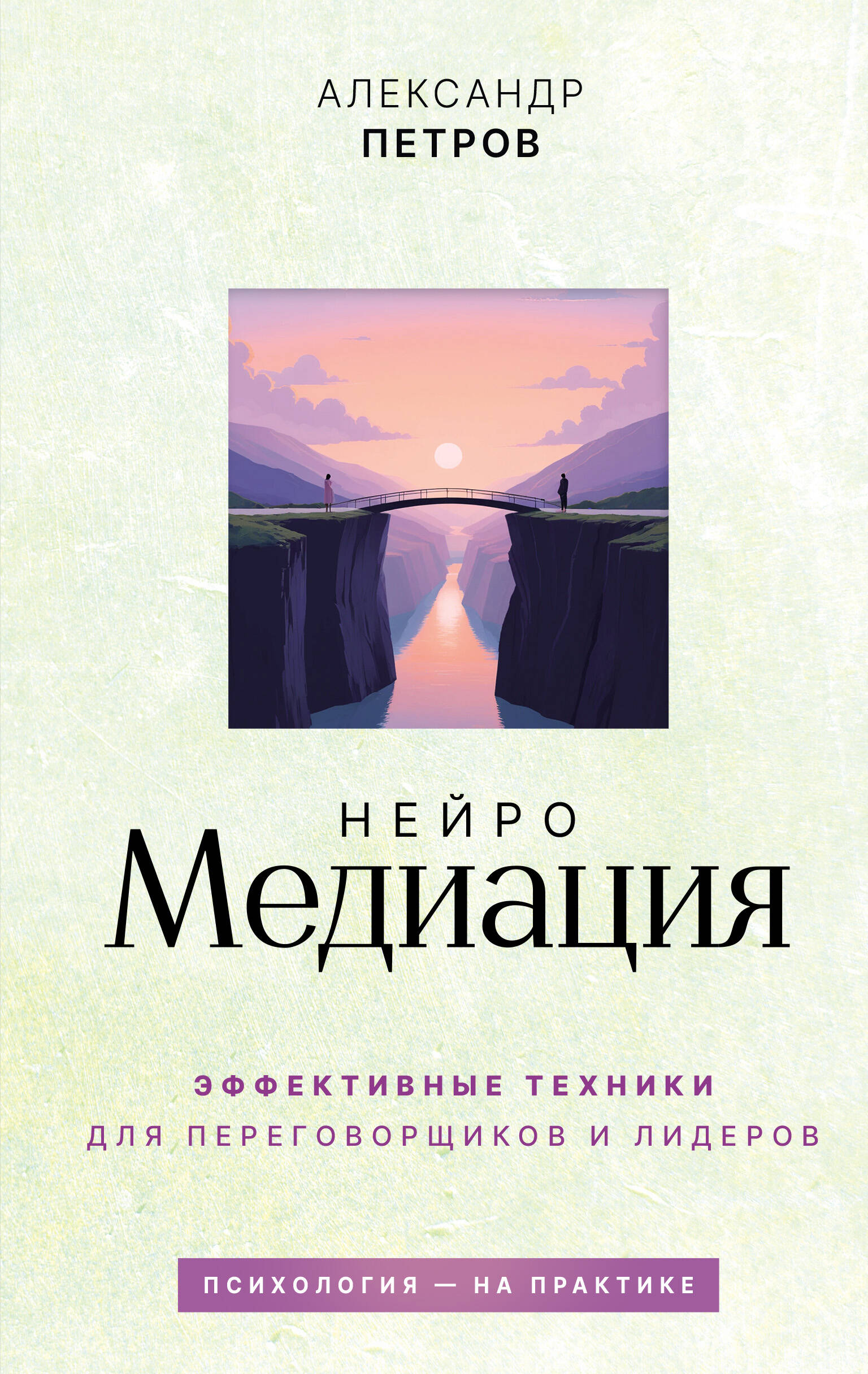 Петров Александр Владимирович НейроМедиация: эффективные техники для переговорщиков и лидеров - страница 0