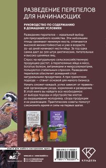 Разведение перепелов для начинающих. Руководство по содержанию в домашних условиях