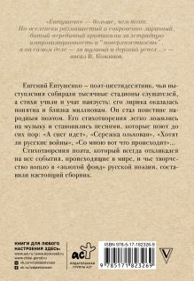 Поэт в России - больше, чем поэт