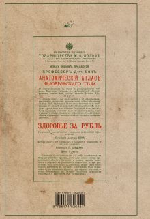 Голова. Строение человеческой головы и отправления важнейших её органов
