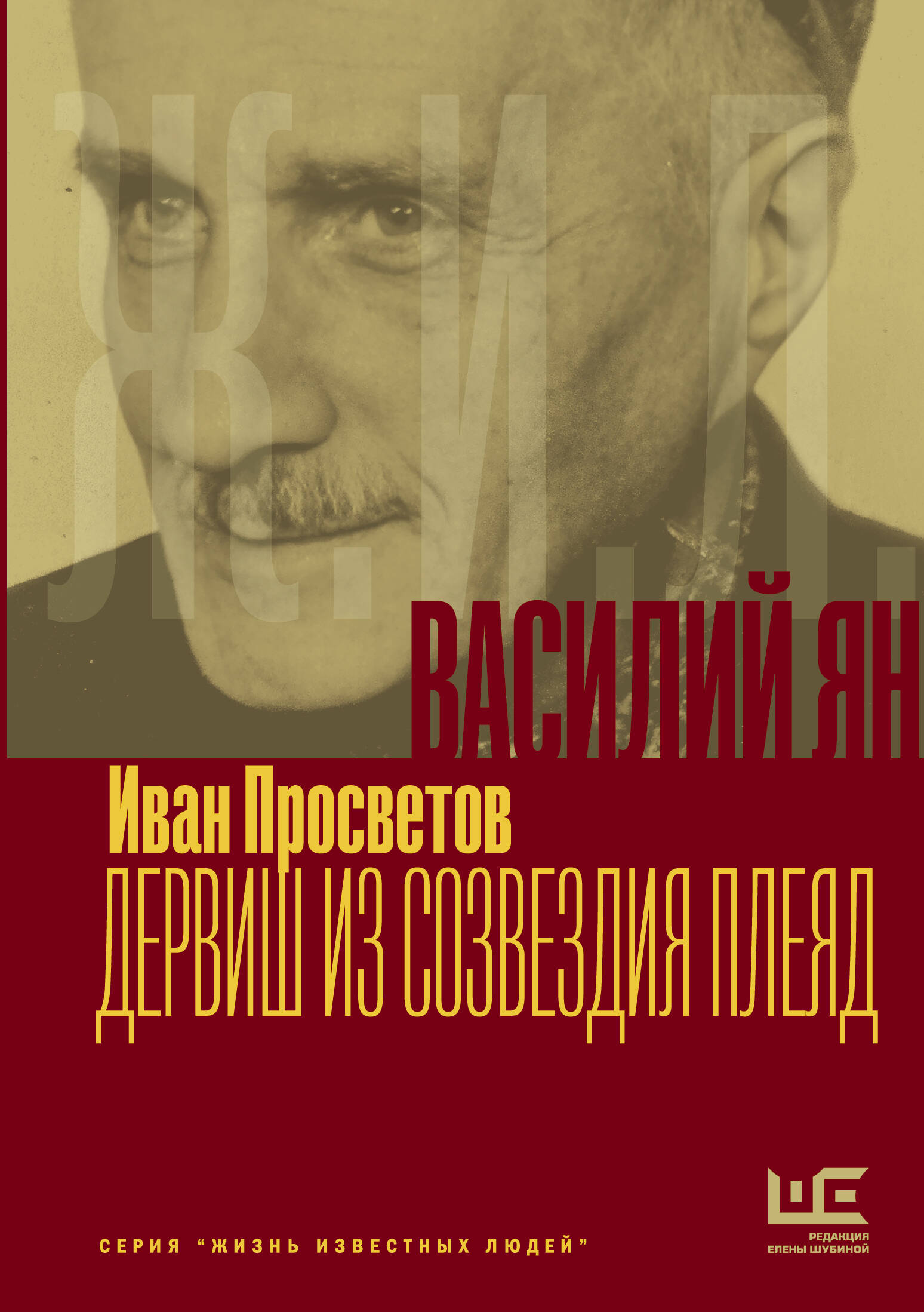 Просветов Иван Валерьевич Василий Ян: Дервиш из созвездия Плеяд - страница 0