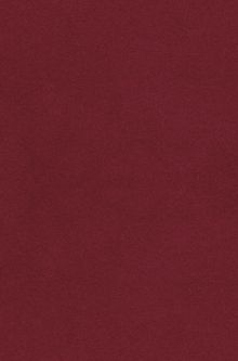 Монархия в XXI веке