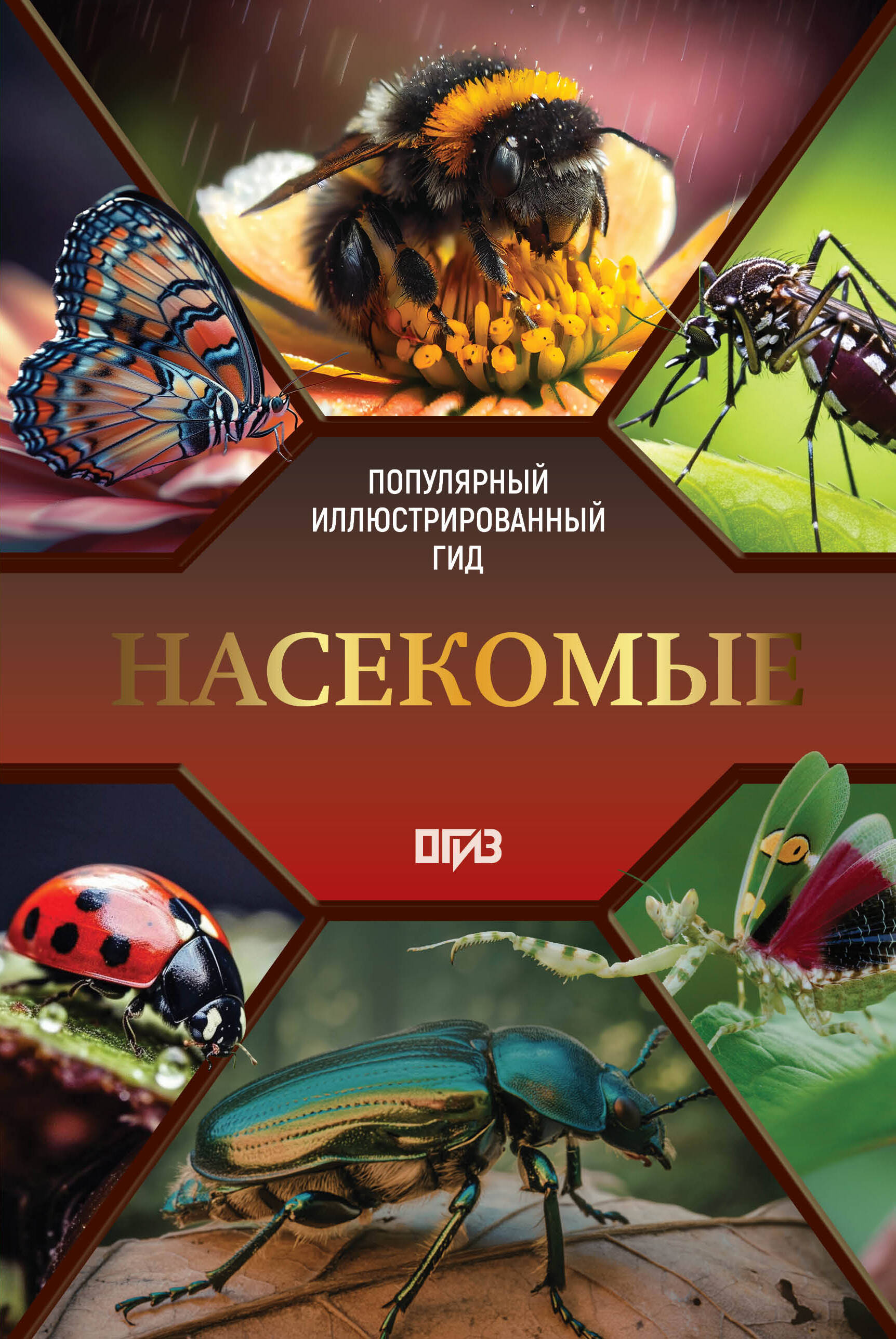 Спектор Анна Артуровна Насекомые. Иллюстрированный гид - страница 0