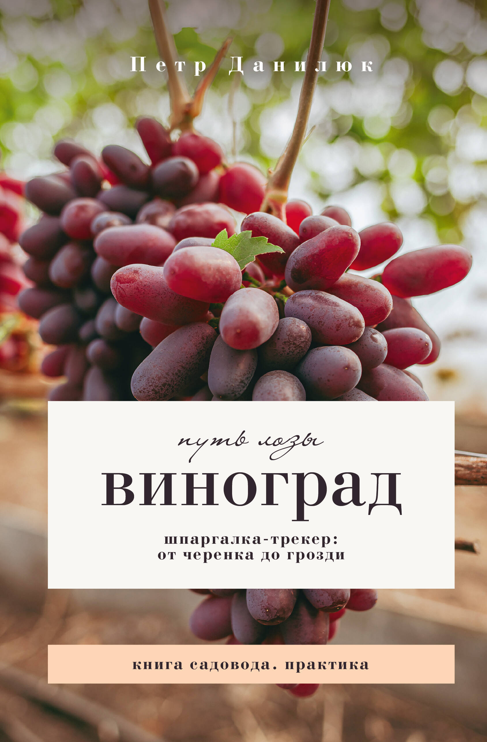 Данилюк Петр Петрович Виноград. Путь лозы. Шпаргалка-трекер: от черенка до грозди - страница 0