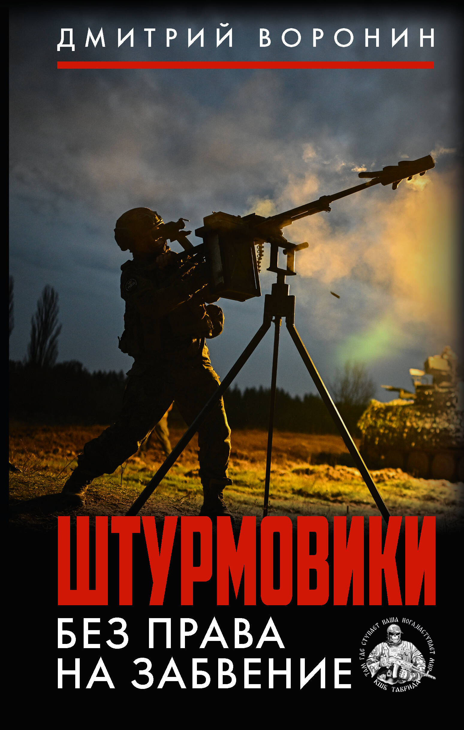 Воронин Дмитрий «Юрист»  Штурмовики. Без права на забвение - страница 0