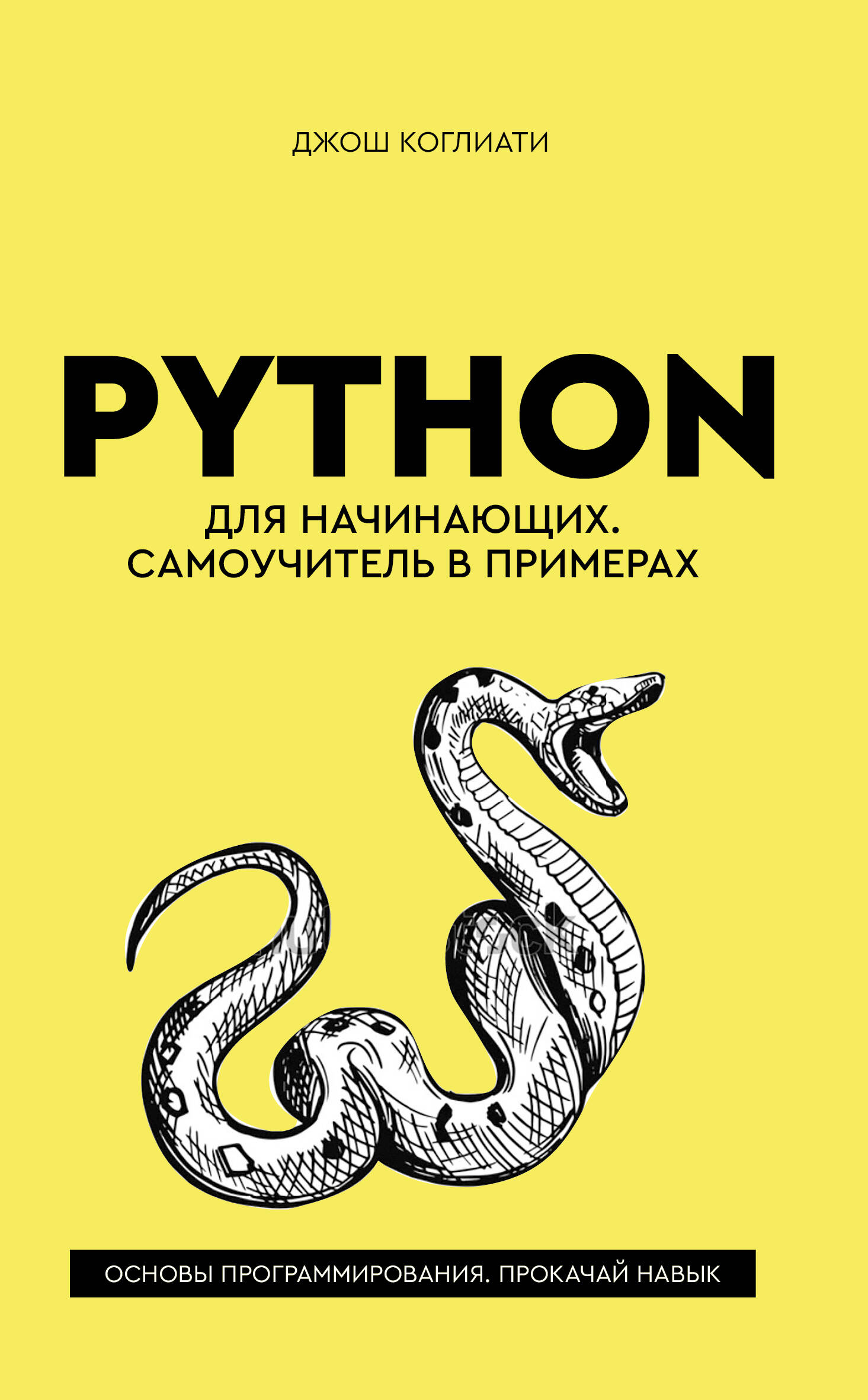 Коглиати Джош Python для начинающих. Самоучитель в примерах - страница 0