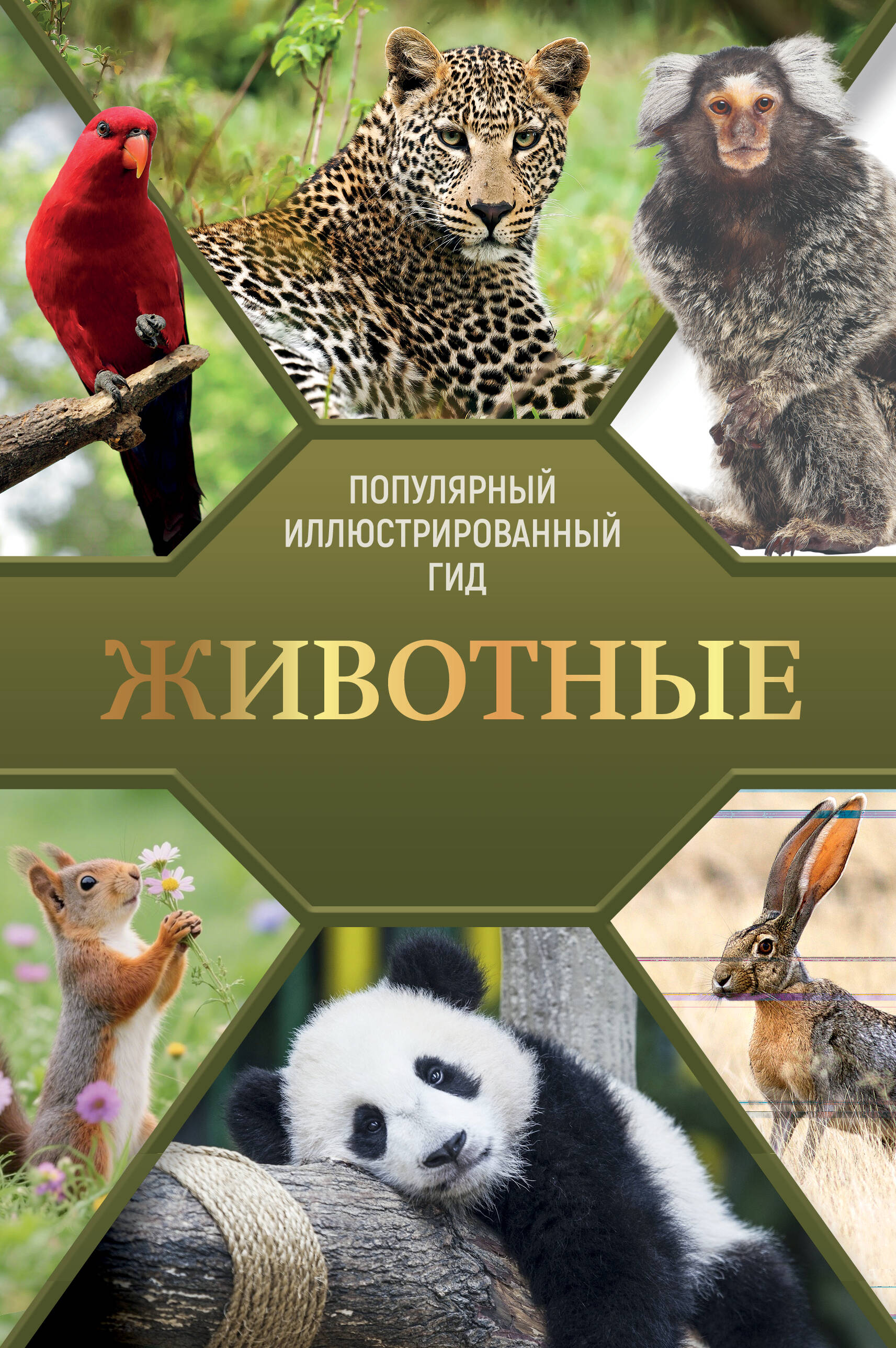 Баженов Владимир Михайлович Животные. Популярный иллюстрированный гид - страница 0