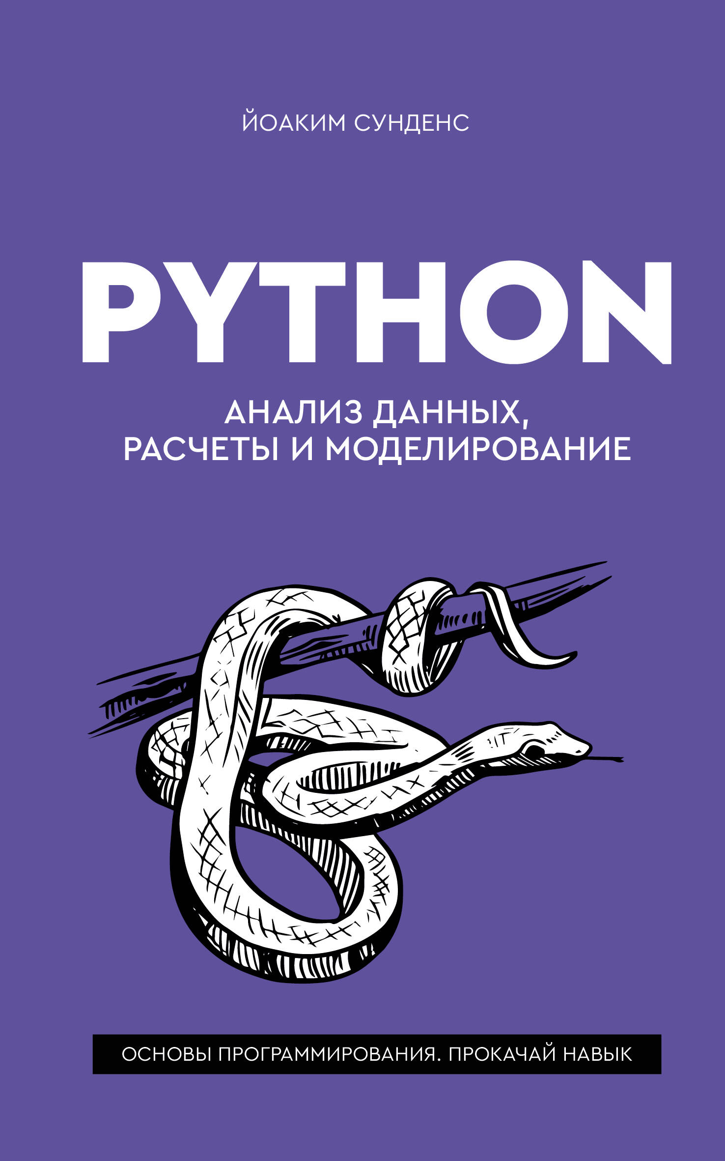Сунднес Йоаким Python: анализ данных, расчеты и моделирование - страница 0