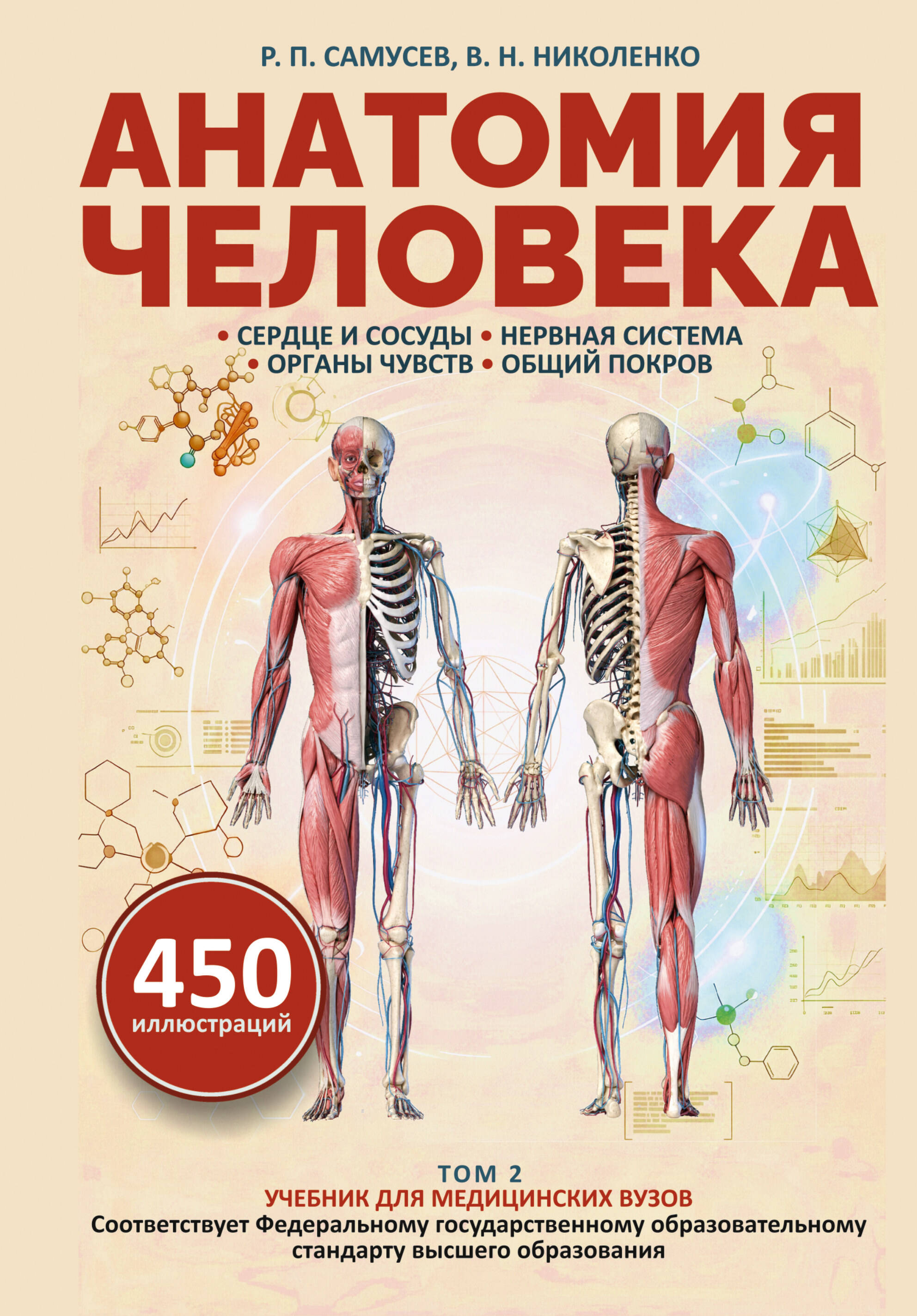 Николенко Владимир Николаевич Анатомия человека. Сердце и сосуды, нервная система, органы чувств, общий покров - страница 0