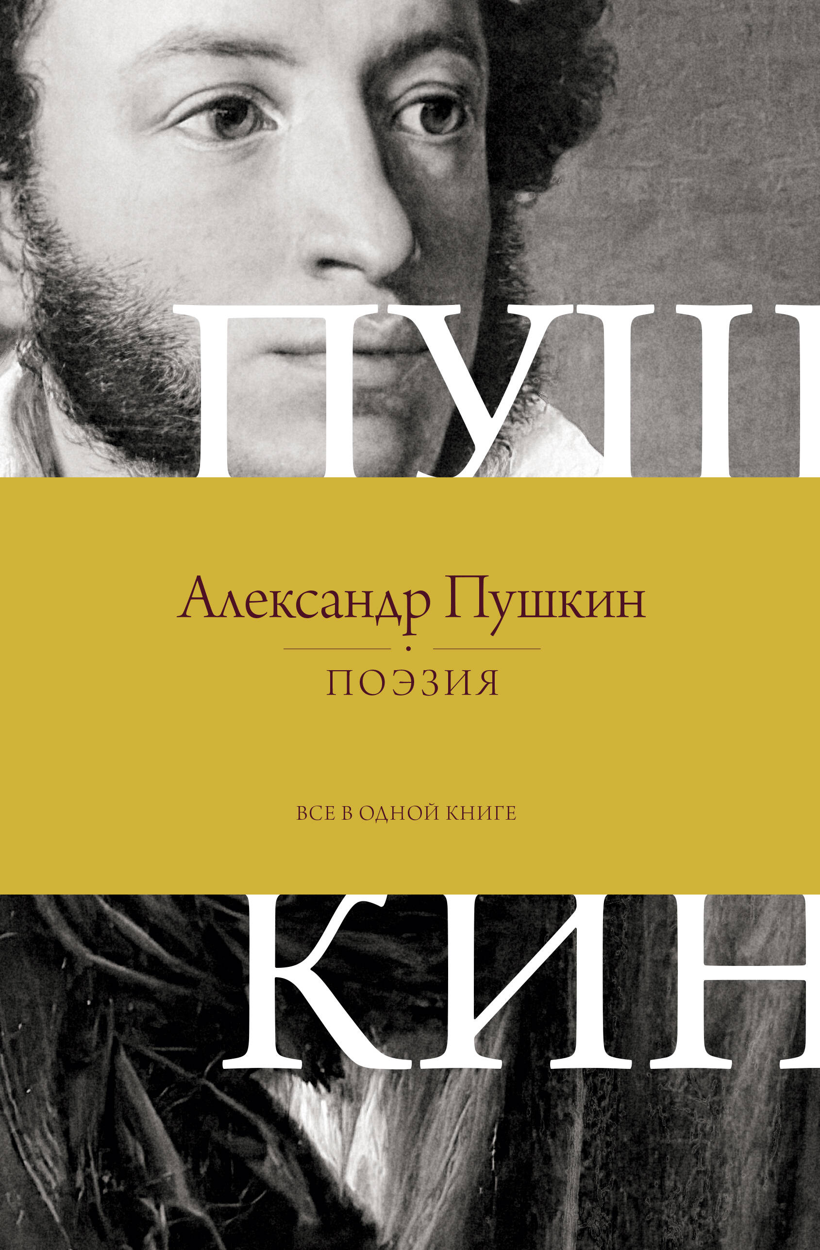 Пушкин Александр Сергеевич Поэзия. Все в одной книге - страница 0