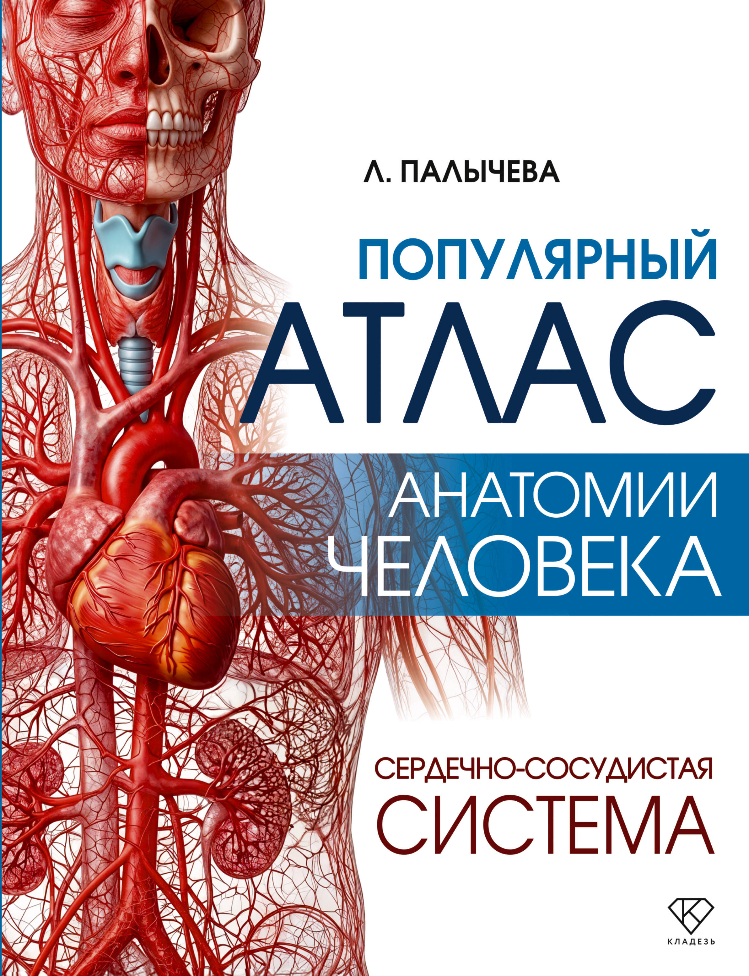 Палычева Любовь Николаевна Популярный атлас анатомии человека. Сердечно-сосудистая система - страница 0