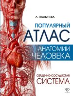 Популярный атлас анатомии человека. Сердечно-сосудистая система