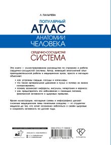 Популярный атлас анатомии человека. Сердечно-сосудистая система