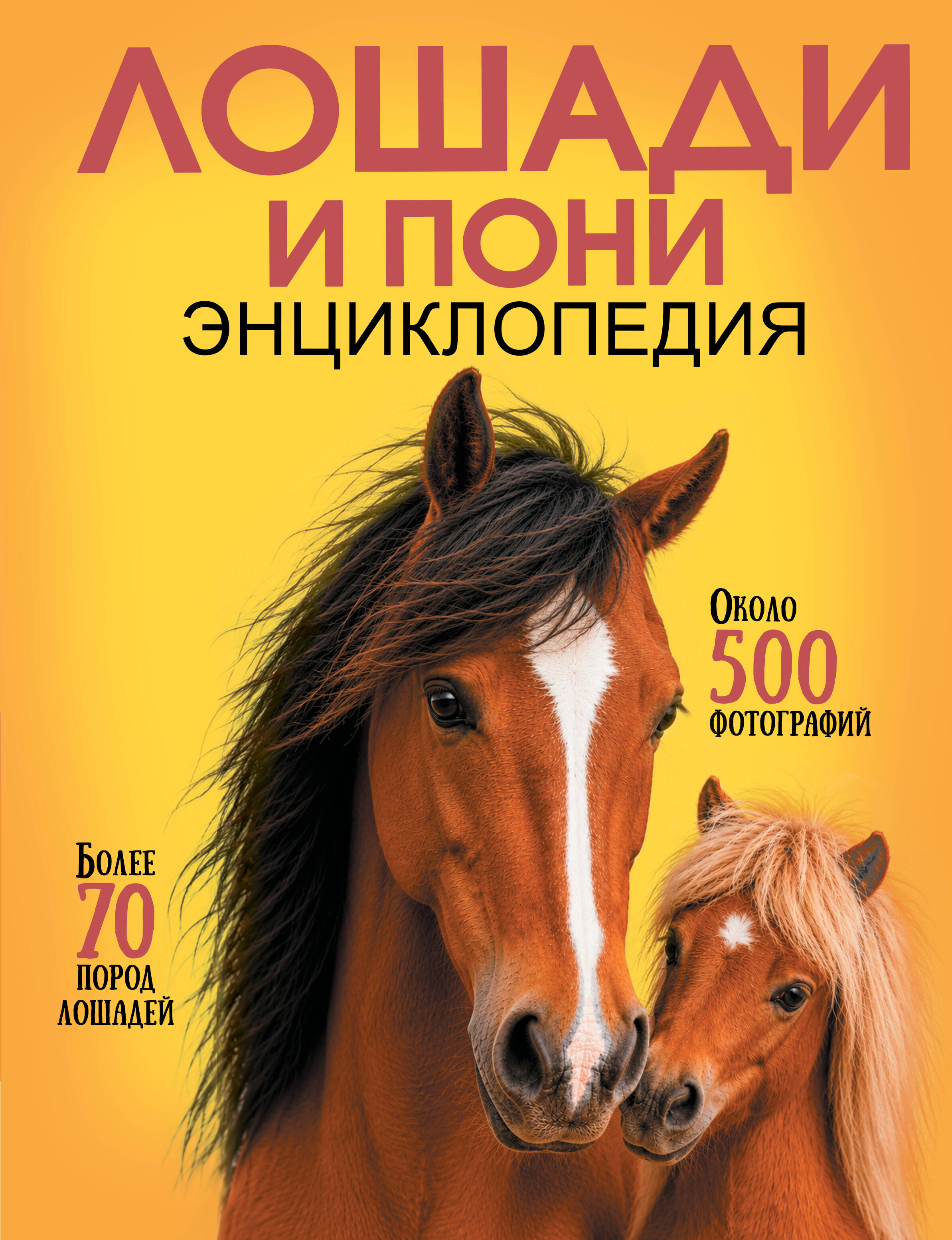  Лошади и пони - страница 0