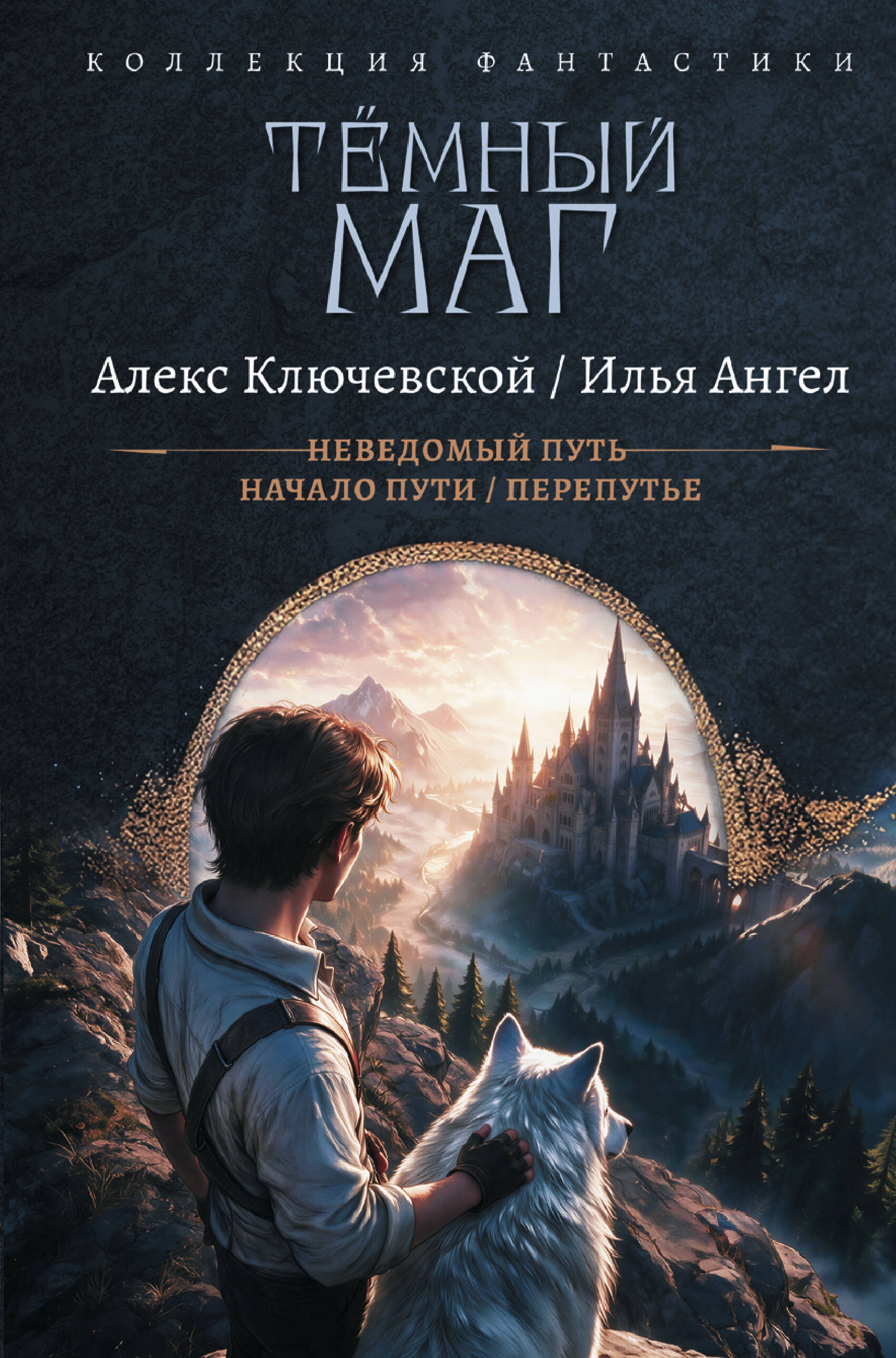 Ключевской Алекс , Ангел Илья  Тёмный маг-1 (сборник) - страница 0