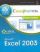 Microsoft Excel 2003. 100 лучших советов и приемов для работы