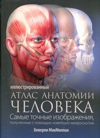 Иллюстрированный атлас анатомии человека