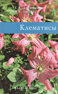 Клематисы