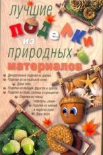 Лучшие поделки из природных материалов