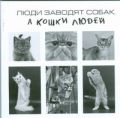 Люди заводят собак, а кошки людей
