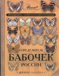 Определитель бабочек России