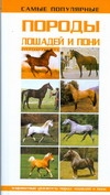 Самые популярные породы лошадей и пони