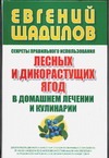 Секреты правильного использования лесных и дикорастущих ягод в домашнем лечении