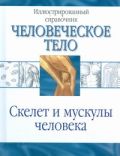 Скелет и мускулы человека