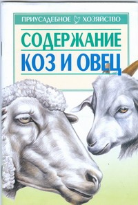 Содержание коз и овец