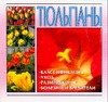 Тюльпаны