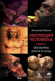 Марков Александр Владимирович — Эволюция человека. [В 3 кн.] Кн. 1. Обезьяны, кости и гены