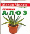 Алоэ