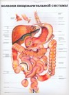 Болезни пищеварительной системы.Болезни мочевых органов