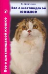 Все о шотландской кошке: скоттиш фолды, страйты и хайленд фолды