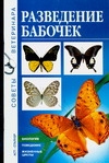 Разведение бабочек
