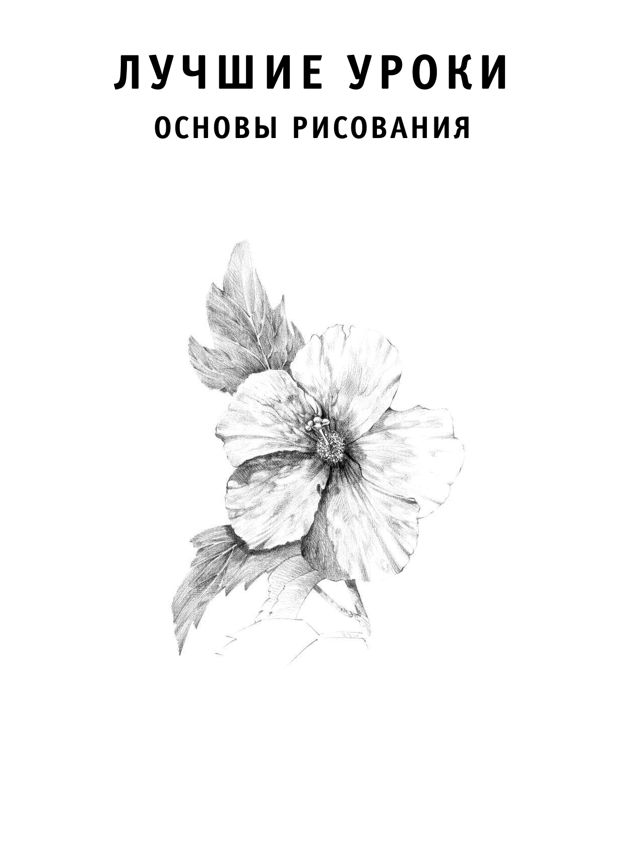  Лучшие уроки. Основы рисования - страница 1