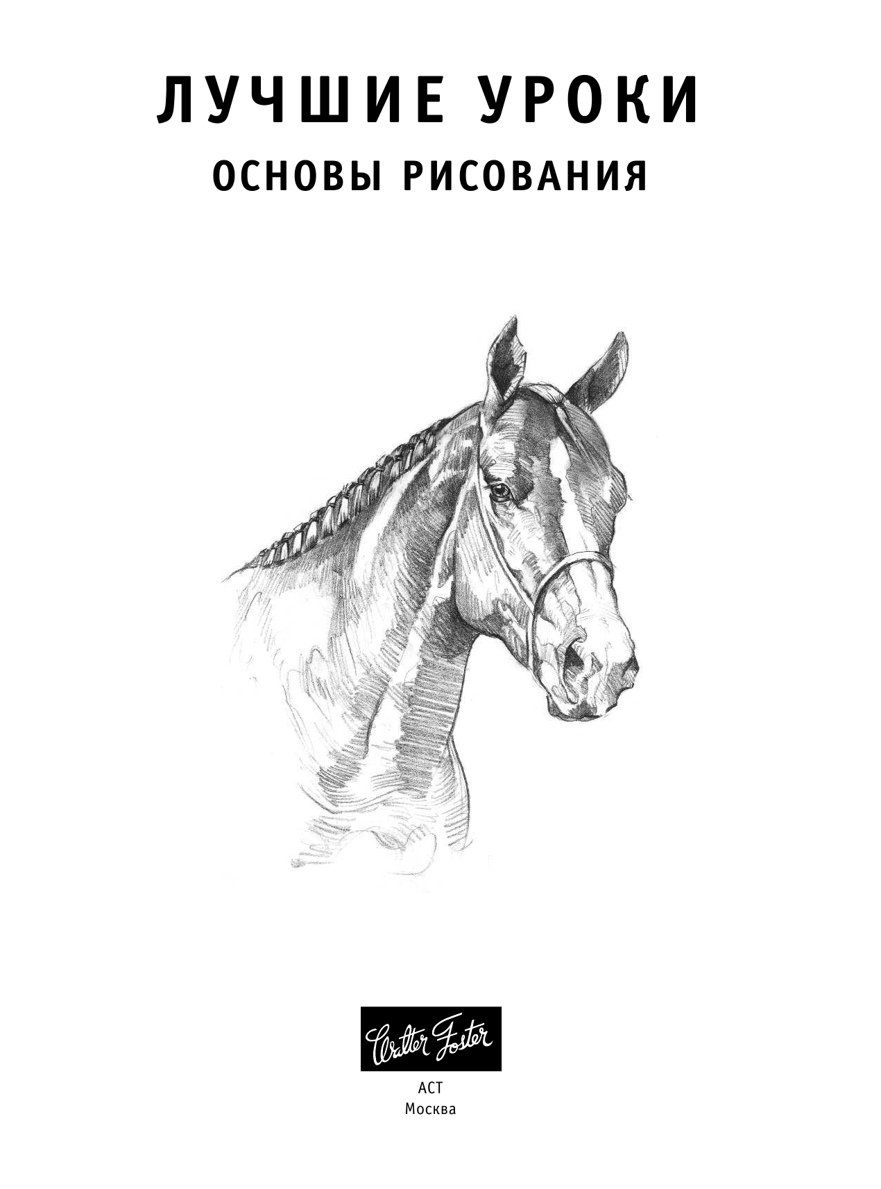  Лучшие уроки. Основы рисования - страница 3