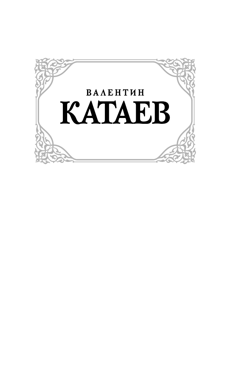 Катаев Валентин Петрович Сын полка - страница 1