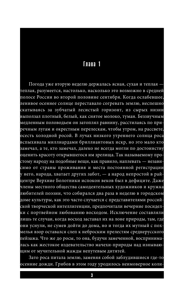 Воронин А. Н. Слепой. Танковая атака - страница 4