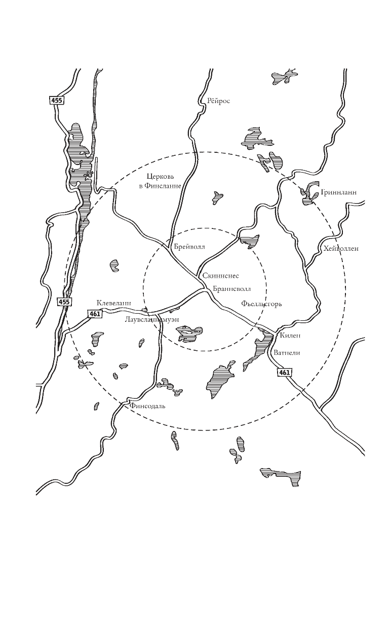 Хейволл Гауте Язык огня - страница 4
