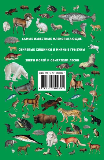 Животные: млекопитающие России