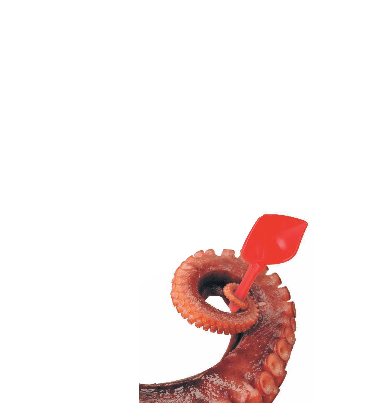  Самая умная книга для самого нужного места - страница 1